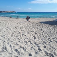 Фото отзыва 7: экскурсия ""