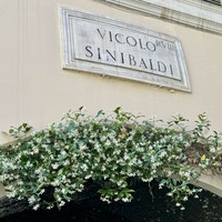 reviews img