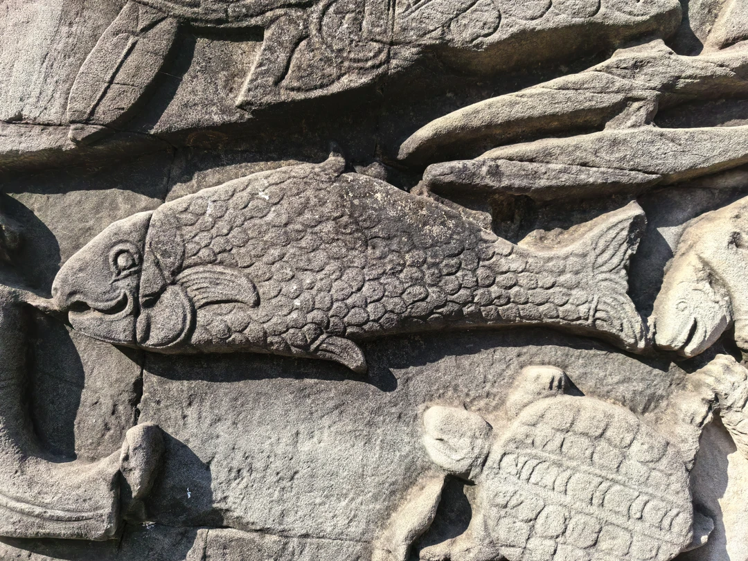 Экскурсия супер и сама по себе и по организации. Большое спасибо Татьяне и мистеру Сараченту за