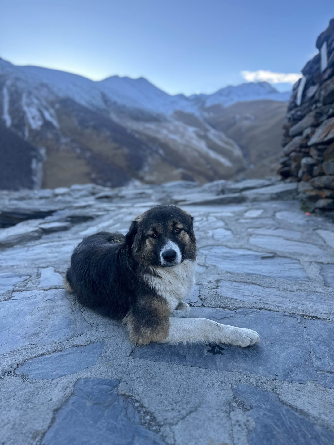 Из Тбилиси в Казбеги - через природные и исторические чудеса Грузии (в группе) (Альбина)