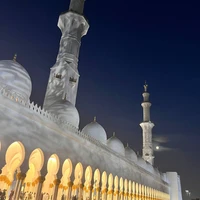 Фото отзыва 2: экскурсия "Экскурсия из Дубая в Абу-Даби в мини-группе"