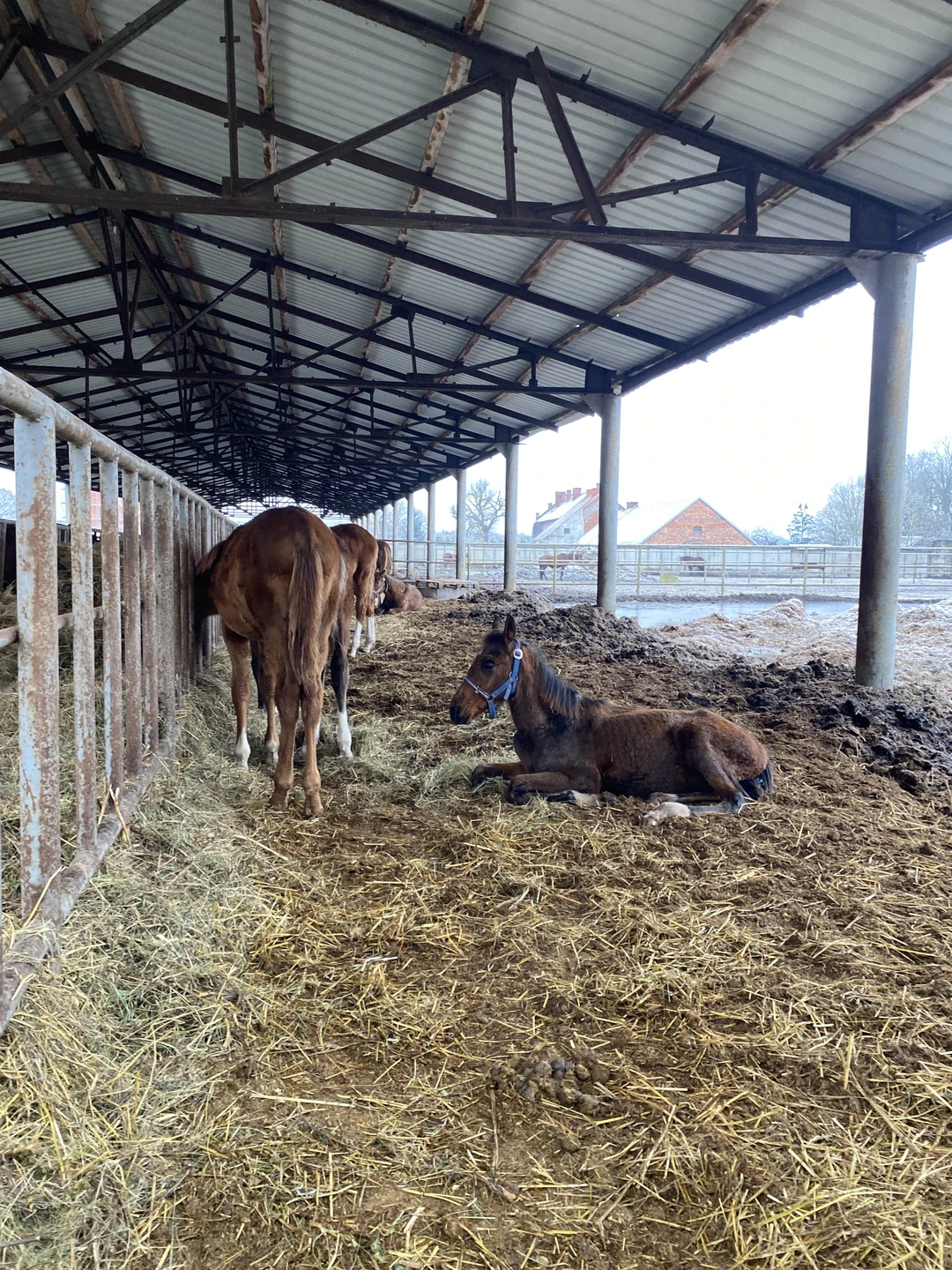 Спасибо большое за экскурсию экскурсоводу Вячеславу Холоду. Человек любит свое дело! Это видно! Замечательная поездка