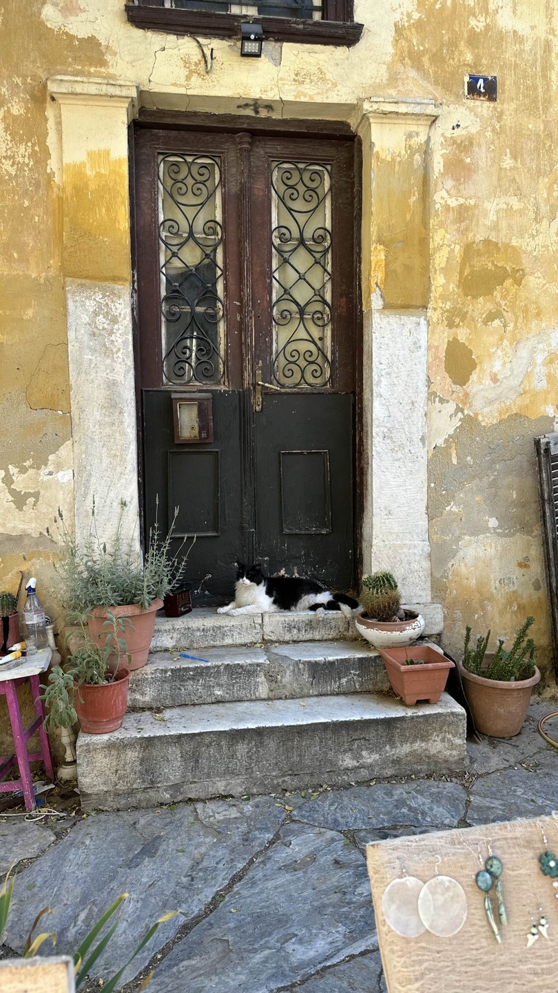 По холмам вокруг Акрополя (Mila)