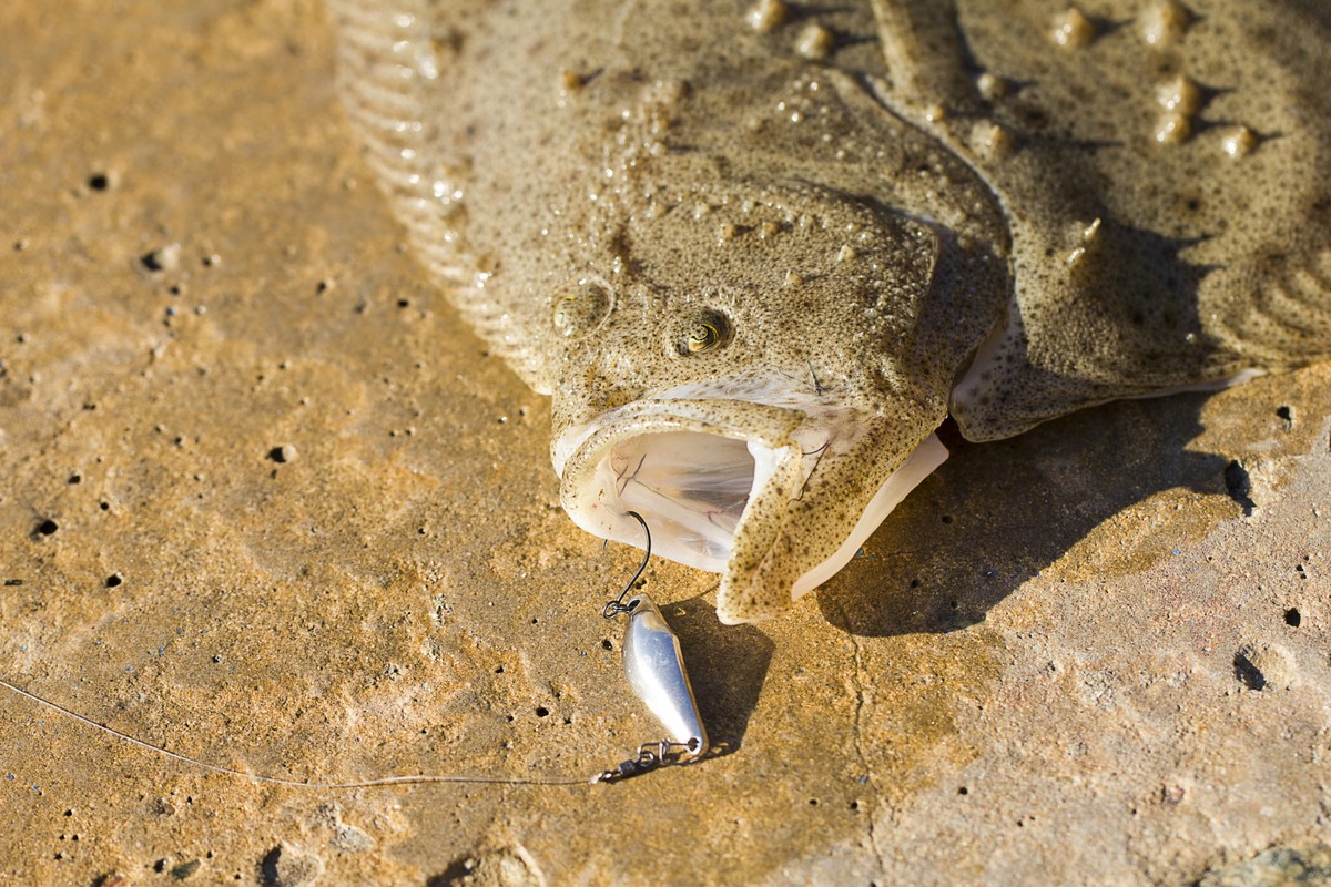 Морская рыбалка во Владивостоке (6/7)