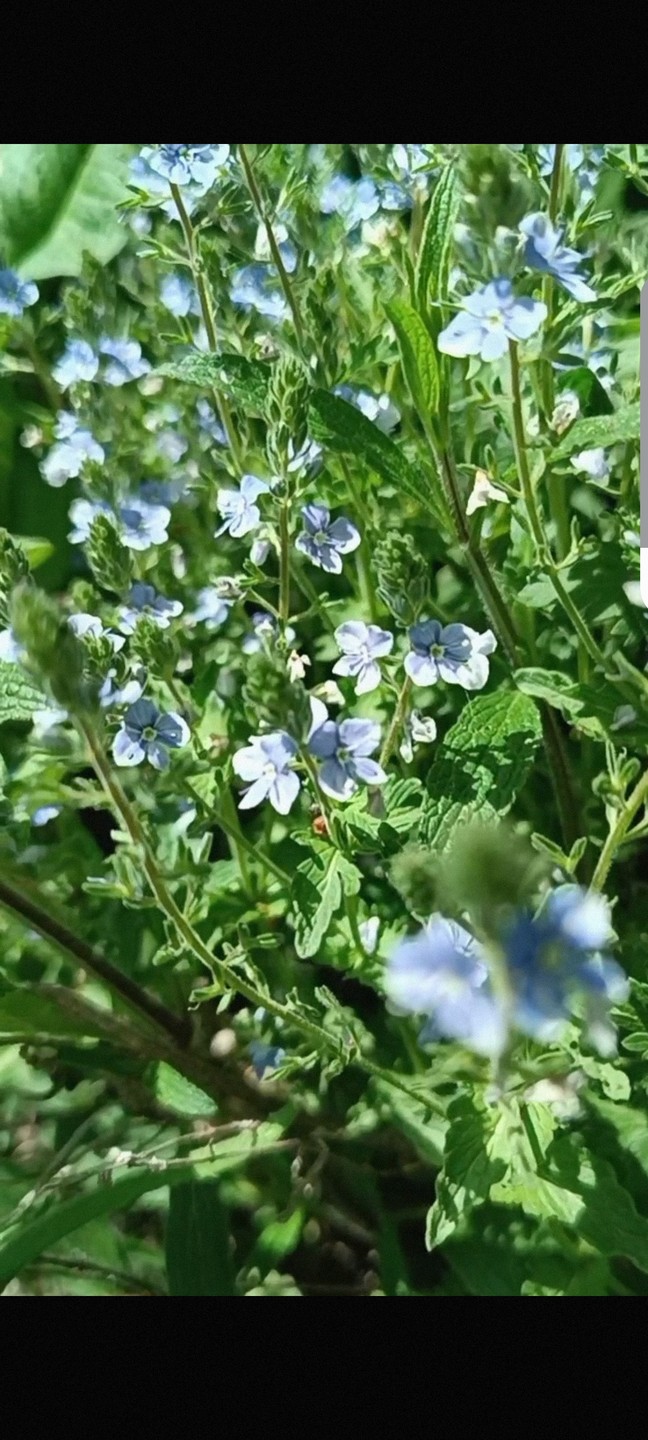 Всë понравилось. Олег интересный рассказчик, внимательный гид, знающий историю края. Автомобиль комфортный, чувствуешь себя пассажиром бизнес-класса.