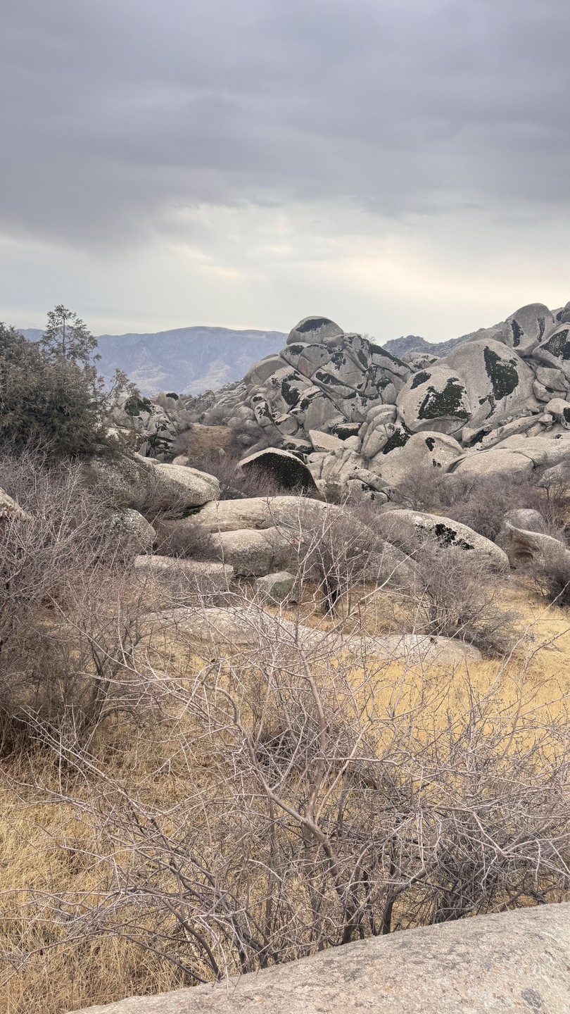 Отличная получилась экскурсия. Виктор очень внимательный, интересный рассказчик и приятный человек. Вкусно накормил, показал очень красивые