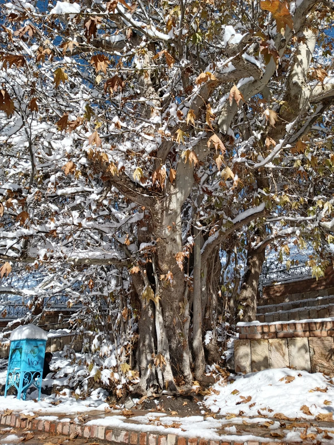 Экскурсия в Институт Солнца, Мечеть Хазрат Али Бува и на винодельню была потрясающей