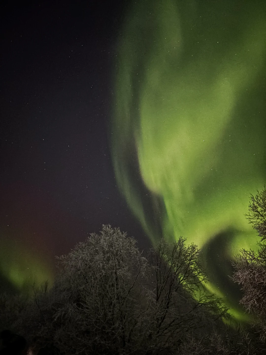 В погоню за полярным сиянием (Фисенко)