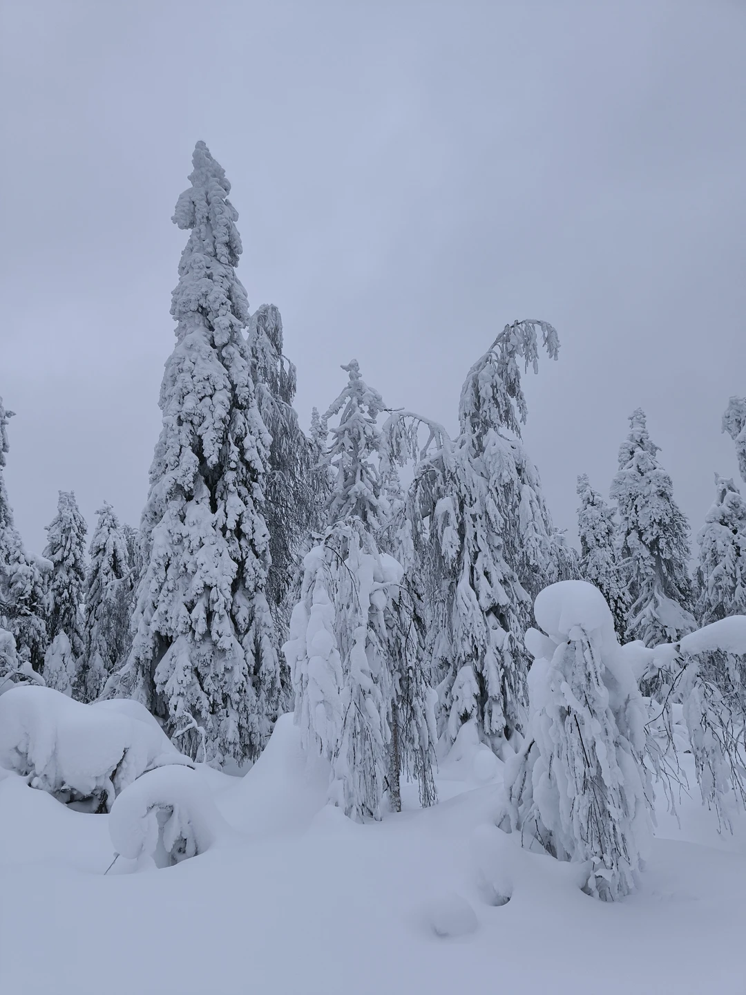 Приятная и интересная поездка в дружеской атмосфере, увидели очень красивые места