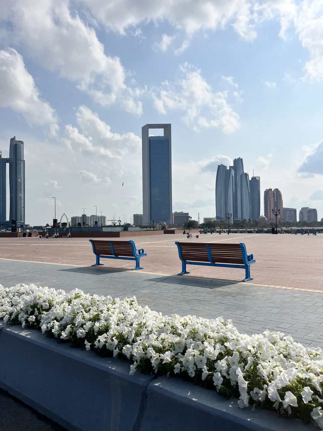 Экскурсия из Дубая в Абу-Даби в мини-группе (Сергей)