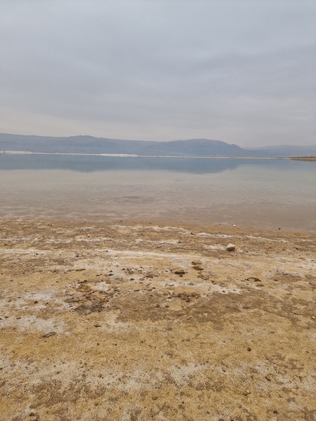 Безумно понравилась экскурсия! Нам объяснили как проходить границу. потом гид Елена показывала очень интересные места и