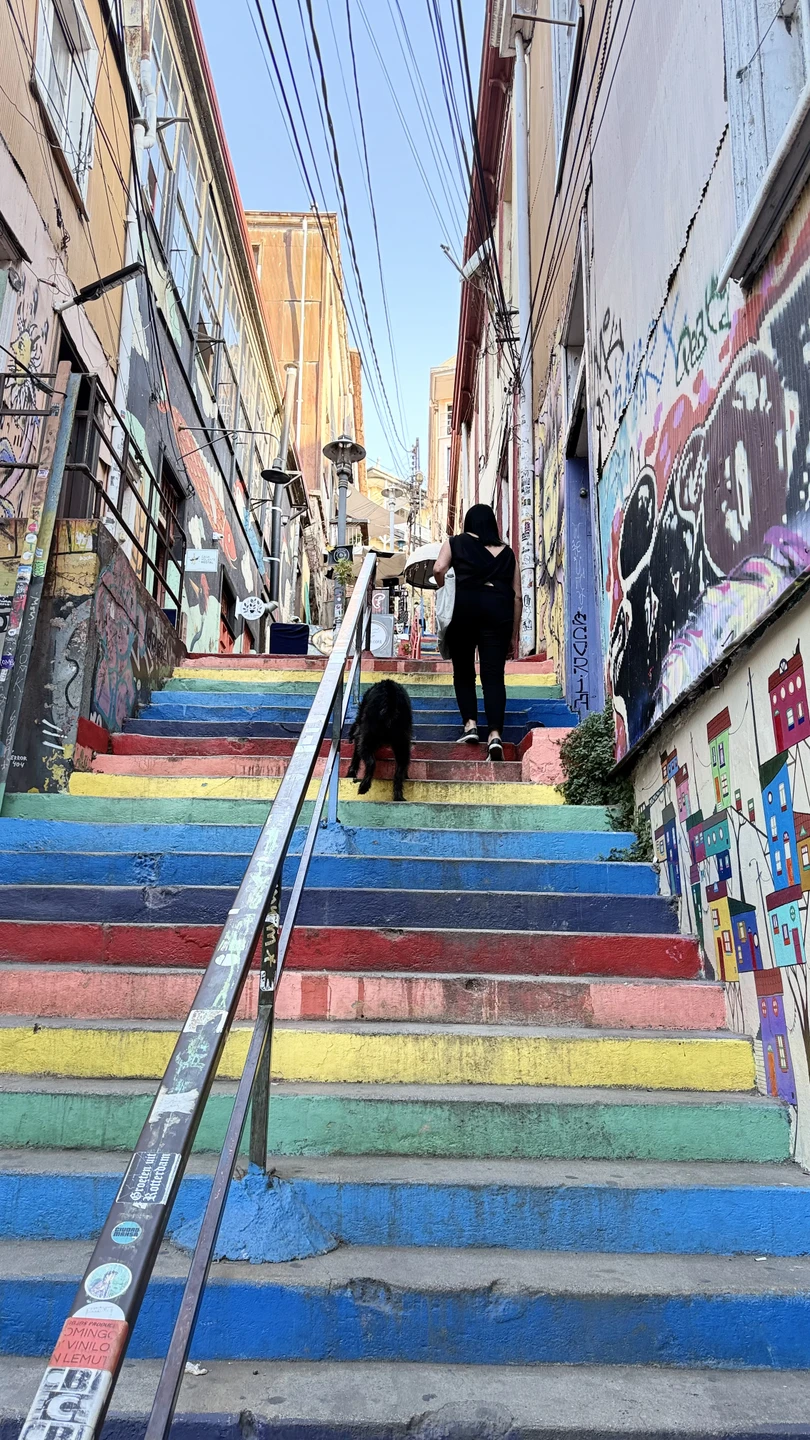 Путешествие превзошло наше ожидание! Все очень на высоком и качественном уровне,с вниманием ко всем мелочам и