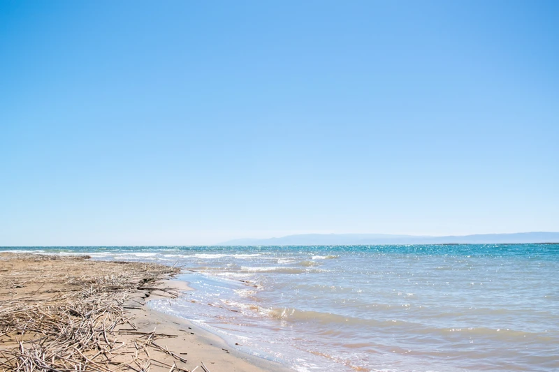 Фото отзыва 3: авторский тур "Пустынный трип к «морю в песках» — озеру Айдаркуль"