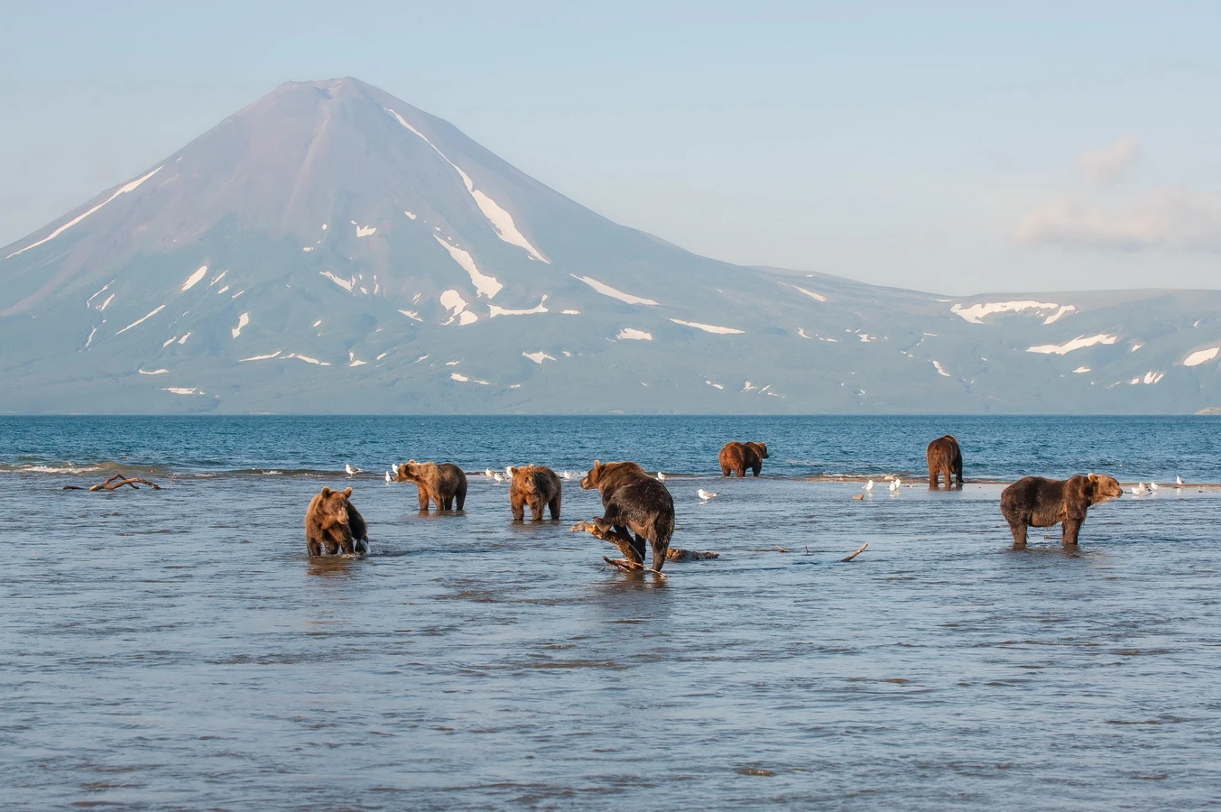 Увидеть душу Камчатки: джип-тур по неизведанным местам с круизом по Курильскому озеру (всё включено)