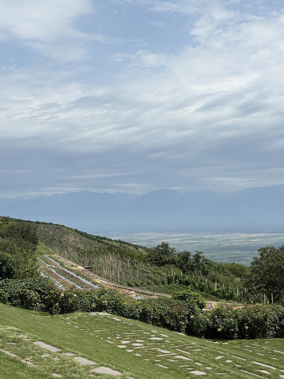 Экскурсия с Александром стала одним из ярчайших моментов отдыха в Грузии!