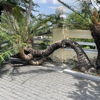 Фото отзыва 3: экскурсия "Нячанг: самое красивое и интересное"