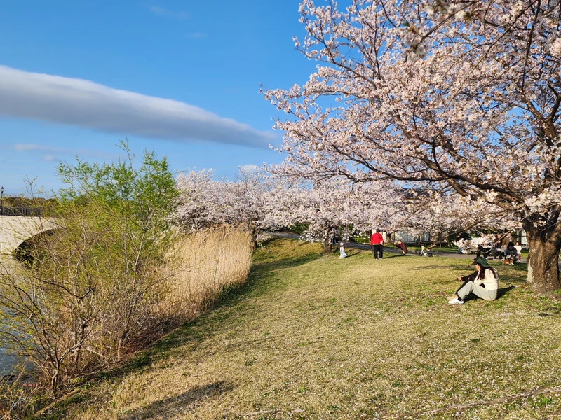 Большое велопутешествие по Японии: от Хиросимы до берегов Тихого океана (мини-группа)
