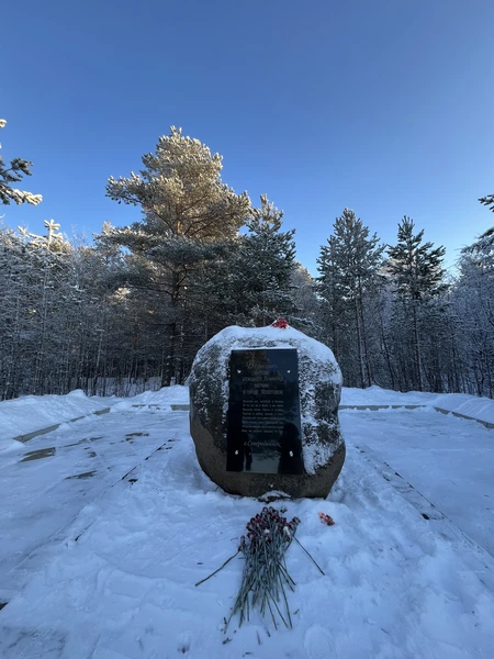Были в конце января 2026.