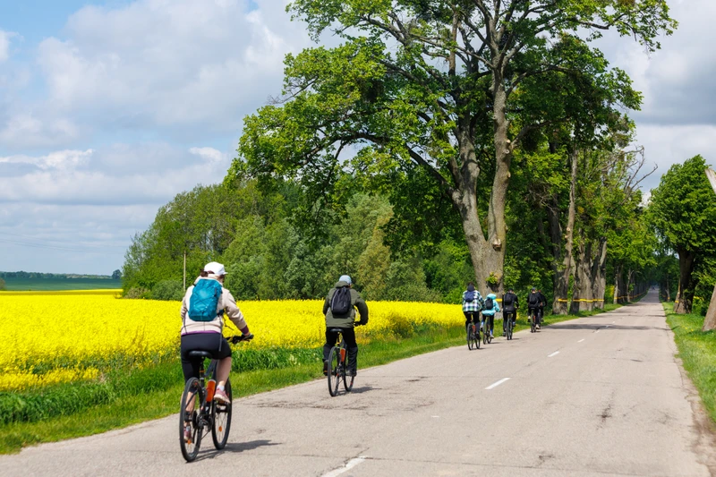 Велопрогулка по Мазурскому каналу и автобусная экскурсия в Железнодорожный