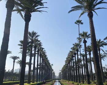 Фото отзыва 3: авторский тур "7 городов, ночь в Сахаре и солёный бриз: большое путешествие по Марокко"