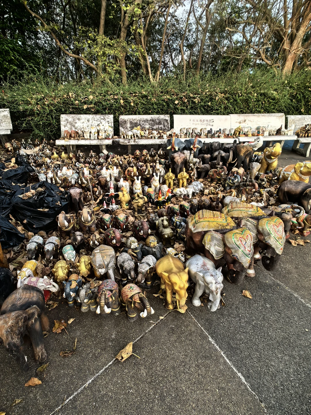 Для того, чтобы "разбавить" свой спокойный пляжный отдых - это отличная экскурсия 👍 👍 👍!!!Ненапряжная и