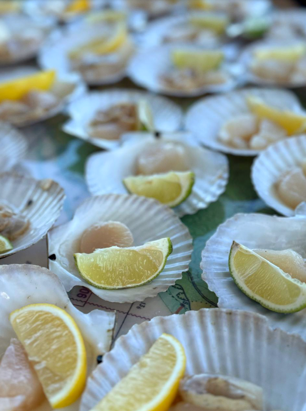 Морское путешествие во Владивостоке + обед от шеф-повара (7/25)