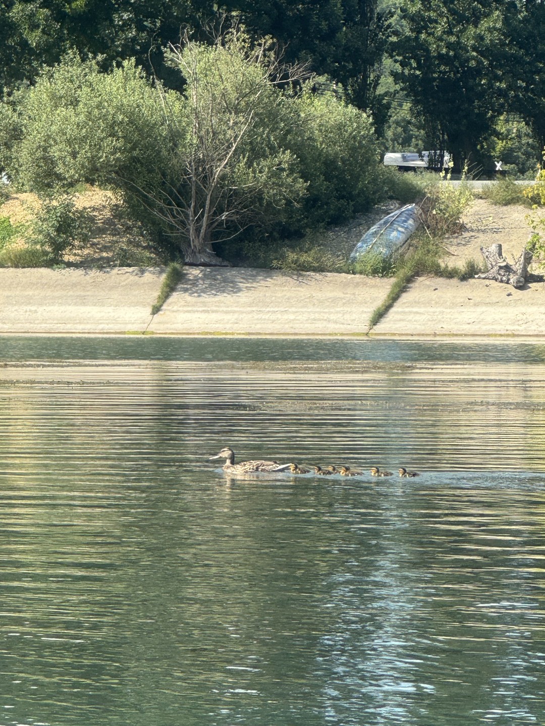 Спасибо, экскурсия очень понравилась. Плавала на сапе впервые. Было совсем не страшно. Мне дали жилет. Управлять
