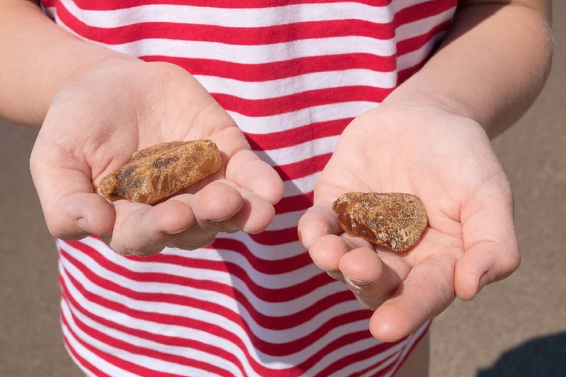 Из Светлогорска в Янтарный: день с солнечным камнем