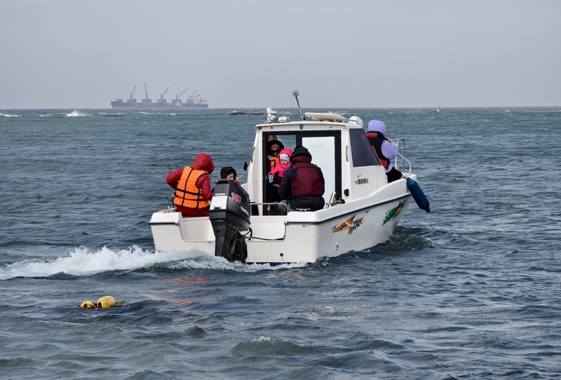 Дикий Запад Сахалина: сивучи и последний маяк Карафуто