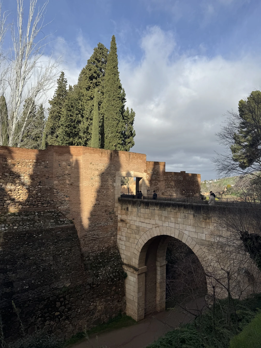 Огромное спасибо Елене за чудесную экскурсию по Альгамбре и садам Хенералифе!