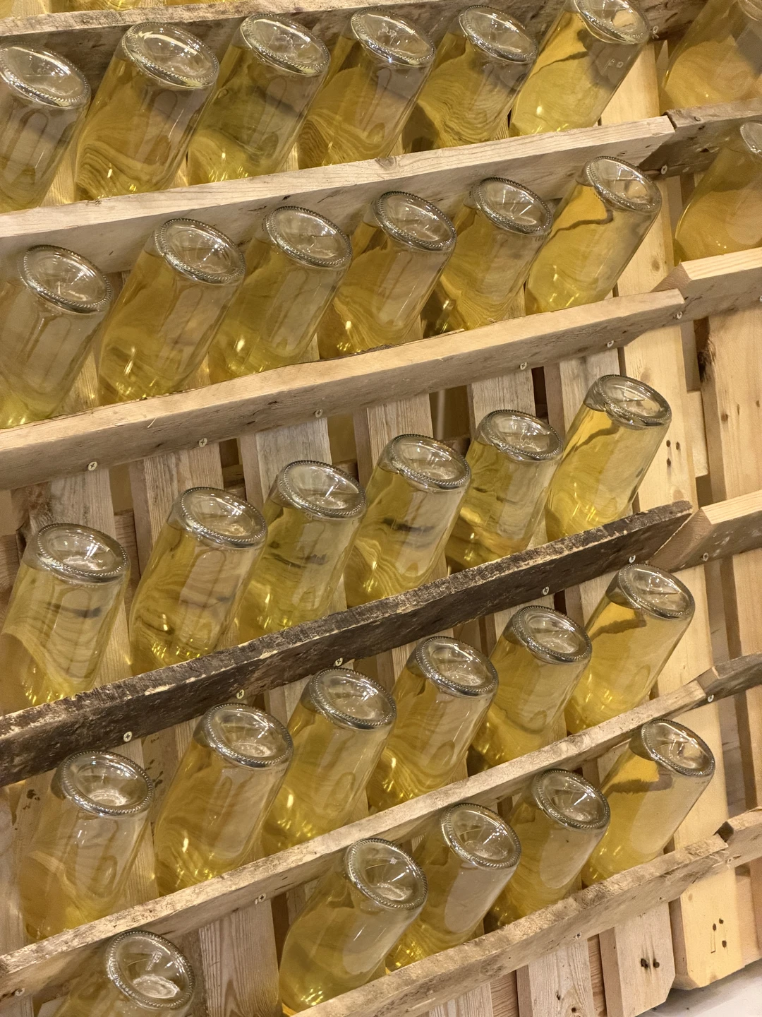 Огромная благодарность прекрасному гиду Георгию, человеку, который с таким вдохновением и с душой познакомил нас с