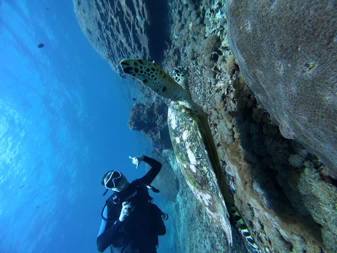 Дайвинг - мастхев в таких местах как Бали. Погружался много где, но без преувеличения скажу, что