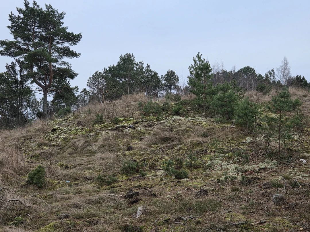 Поездка очень понравилась, прекрасная подача материала. Елена рассказала и о формировании косы, и о народах, населявших