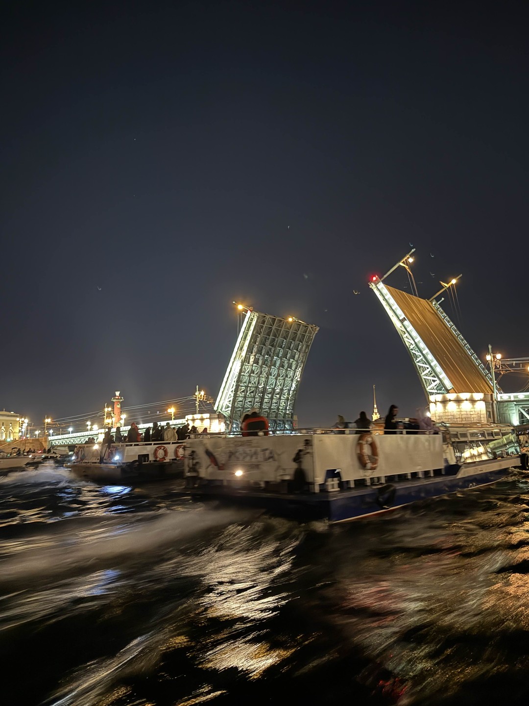 Прогулка на катере на развод мостов (Евгения.)