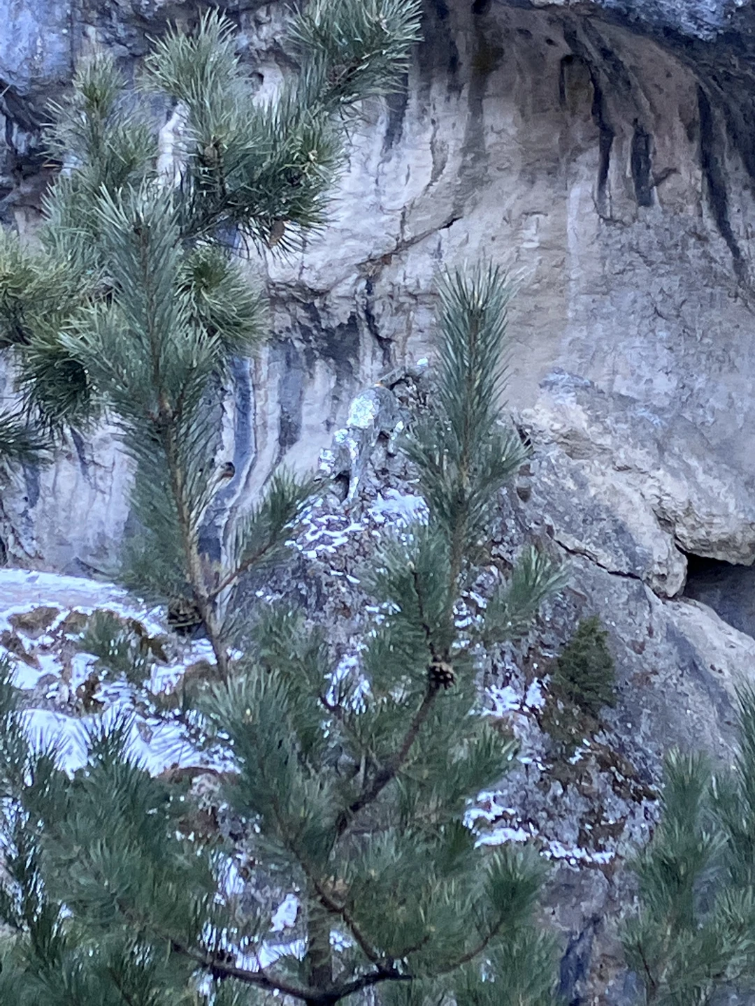 Нам повезло и наша «групповая» экскурсия оказалась индивидуальной - только для нашей семьи. Да ещё и