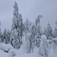Фото отзыва 3: экскурсия "Каменный город и Усьвинские Столбы"