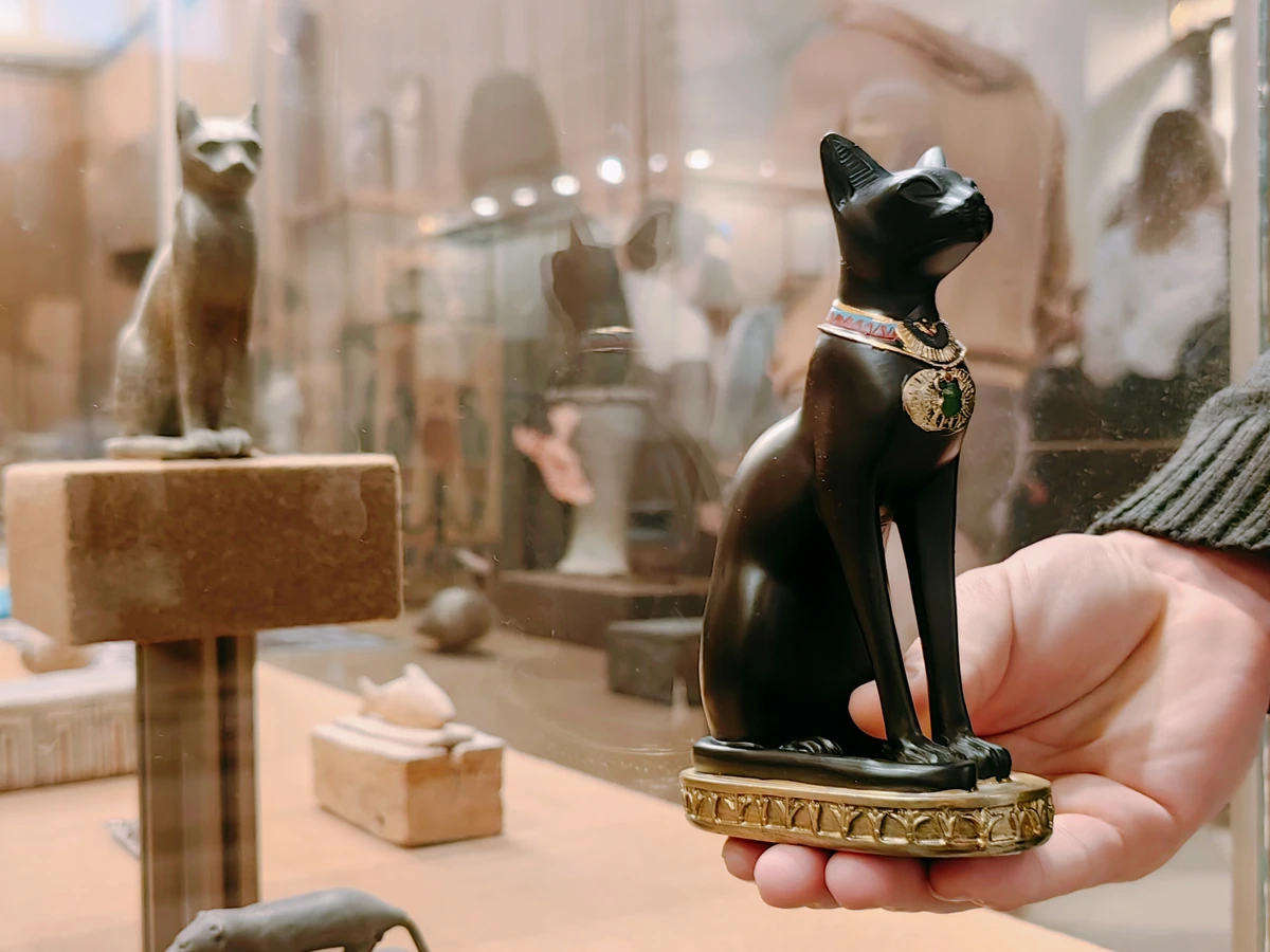 КОТОвасия в Эрмитаже (4/6)