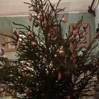 Фото отзыва 3: экскурсия "Ленинградские коммуналки — снаружи и изнутри"