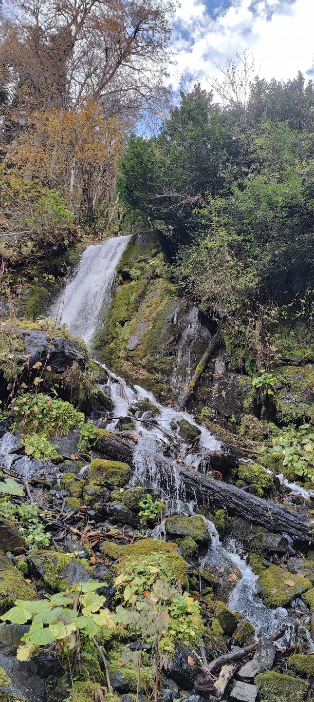 Ездили в Абхазию из района курорта Имеретинский. Трансфер забрал нас со стоянки, расположенной не далеко от