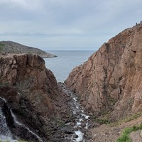 Фото отзыва 4: экскурсия "Киты, тюлени и невероятная Териберка"