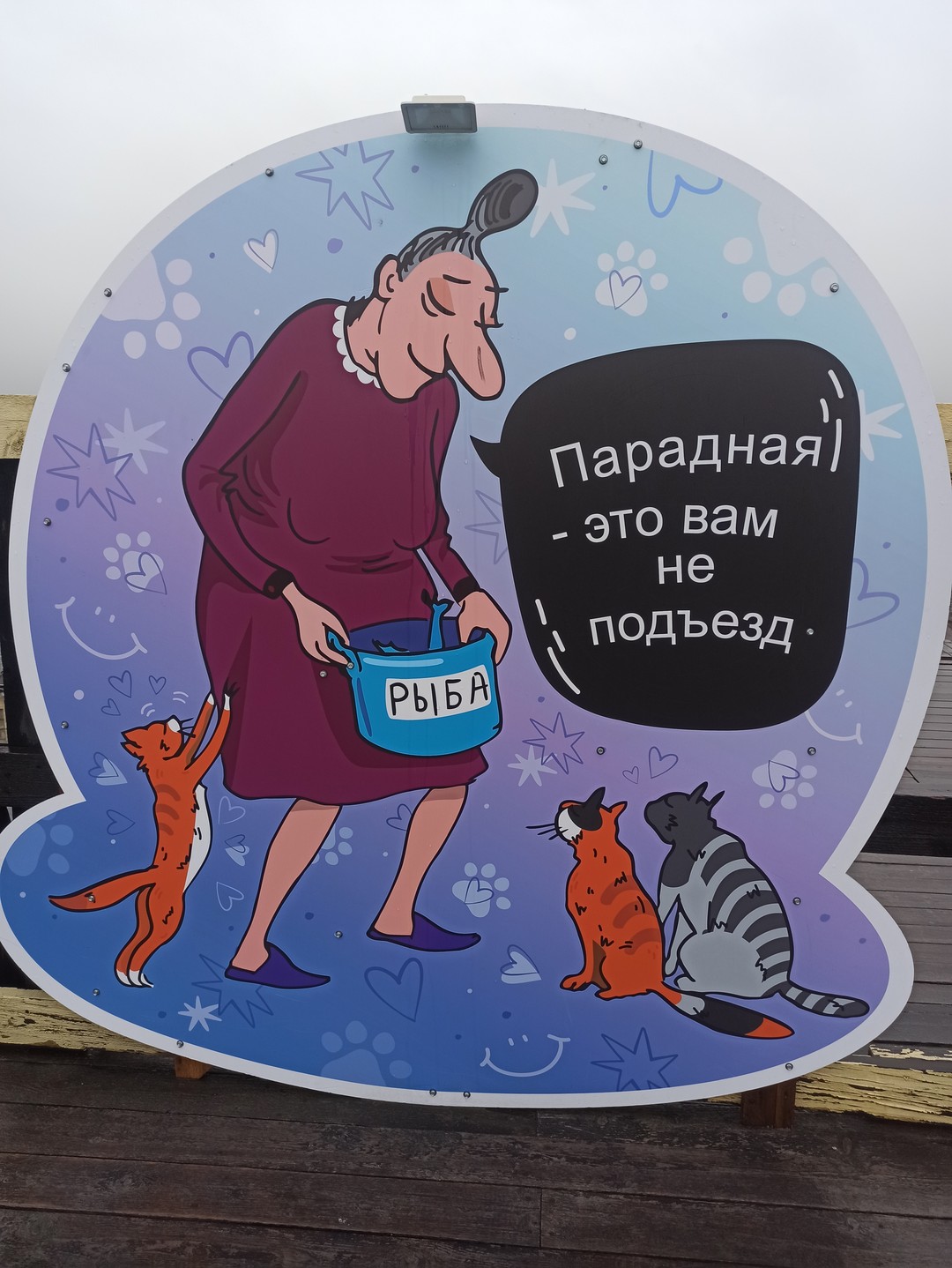 Дворы, парадные и крыша - дух истинного Петербурга (Екатерина)