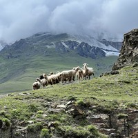 Фото отзыва 1: экскурсия "Северная Осетия — поездка из Пятигорска в мини-группе"