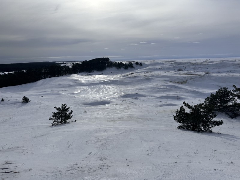 Была на экскурсии 22 февраля. К сожалению, Дмитрий заболел, и как альтернативу предложил, чтобы экскурсию провела