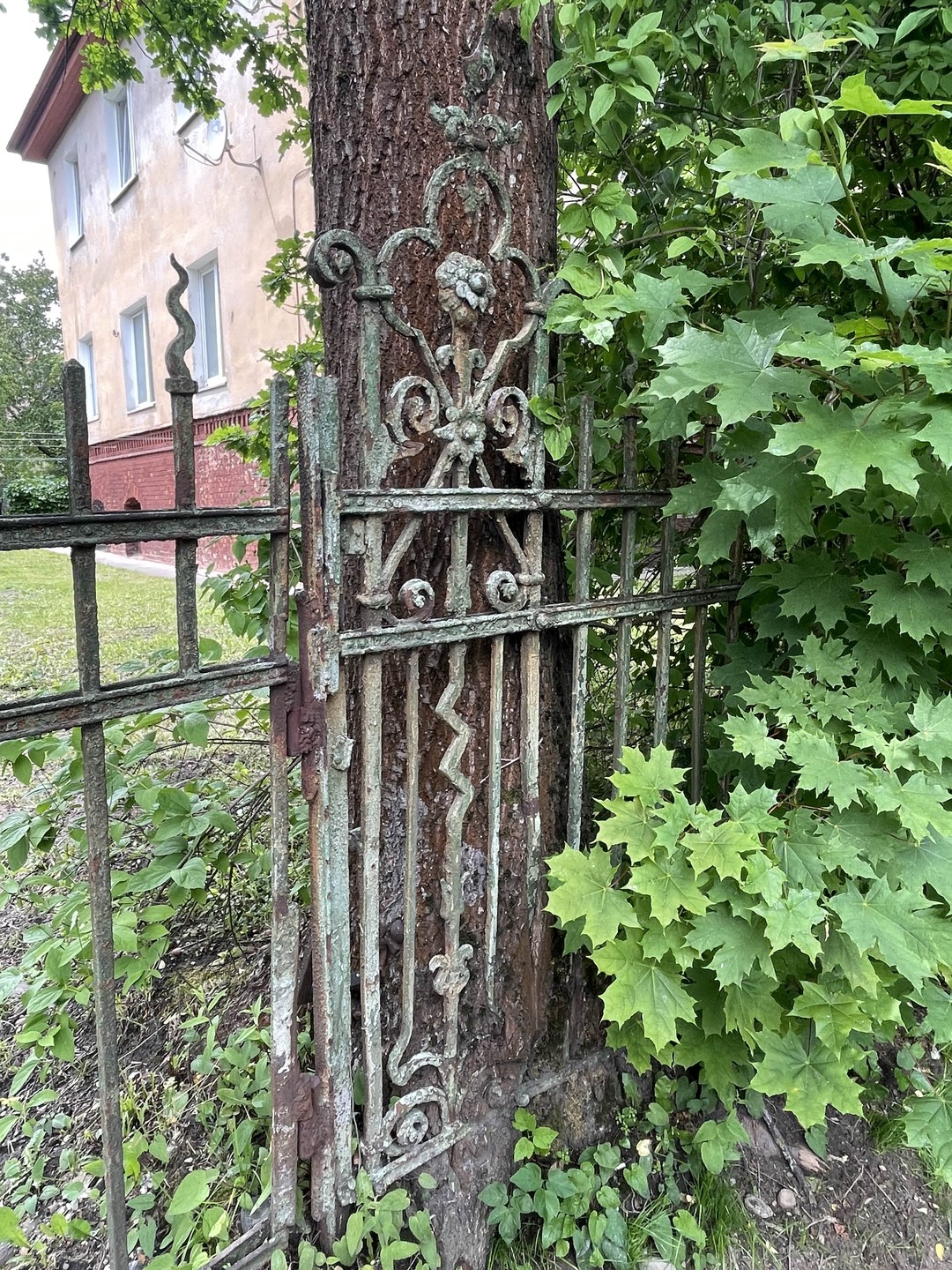 Вдохновляющий Амалиенау (Софья)