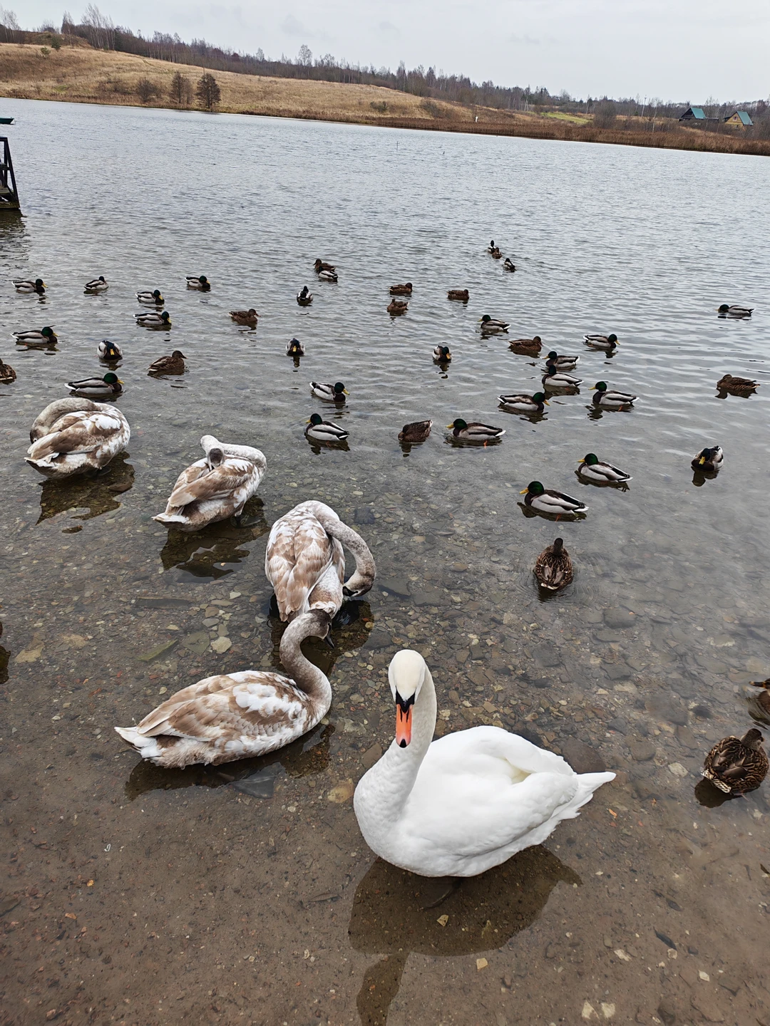 Старый Изборск и Печорский монастырь: из Пскова в небольшой группе (Семакова)