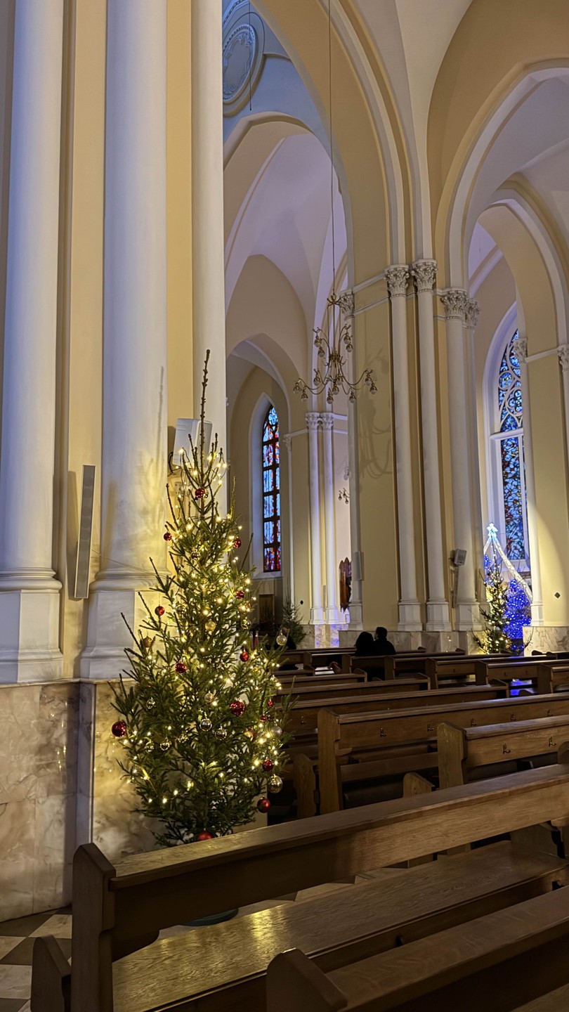 Были на экскурсии с родственницей, и так получилось, что мы были вдвоем и у нас получилась прекрасная индивидуальная прогулка и экскурсия