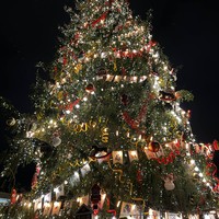 Фото отзыва 2: экскурсия "Онлайн-квест по Петербургу (старт от Казанского собора)"