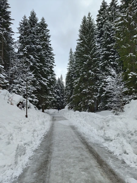 прекрасная экскурсия, прошла комфортно, день пролетел как один миг, гиду большое спасибо!