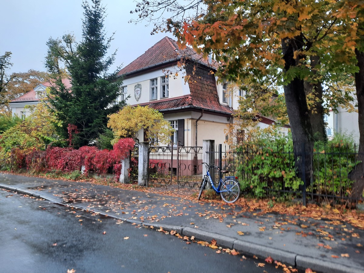 Фото На велосипеде по Амалиенау
