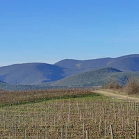 Фото отзыва 3: экскурсия "Неизведанные уголки Абрау-Дюрсо"